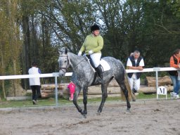 2011 Sommerturnering